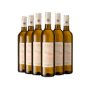 025978 - kit 6 Il Palagio Message In a Bottle Vermentino Toscana IGT
